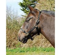 Rhinegold Nylon Headcollar-COB-Black Licol 0, Noir
