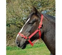 Rhinegold Nylon Headcollar-COB-Red Licol 0, Rouge