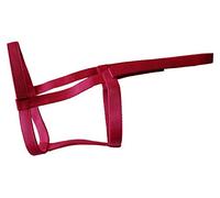 Rhinegold (sans métal Collier de sécurité, 0, Framboise, Full