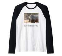 Rhinoceros Chemise Rhinoceros Endangered Black Rhino Manche Raglan