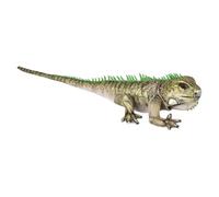 Rhode Island Novelty 19 à Iguana