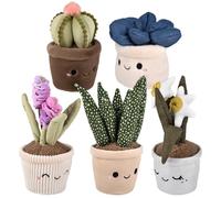 Rhode Island Novelty Assortiment de Plantes Grasses en Peluche (6 carats)