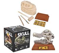 Rhode Island Novelty Kit d'excavation crâne brachiosaure 16,5 cm, 1 pièce par commande