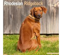 Rhodesian Ridgeback - Afrikanischer Löwenhund 2025 - 16-Monatskalender