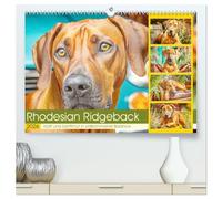 Rhodesian Ridgeback. Kraft und Sanftmut in vollkommener Balance (hochwertiger Premium Wandkalender 2026 DIN A2 quer), Kunstdruck in Hochglanz: ... mit Charakterstärke und natürlicher Eleganz