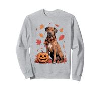 Rhodesian Ridgeback Lover Pumpkin Automne Thanksgiving Sweatshirt