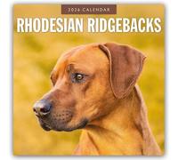 Rhodesian Ridgebacks 2026 Square Wall Calendar