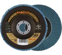 Rhodius 210699 LGZ F3 Disque segmenté Grain 80 acier inoxydable, acier 10 pc(s)