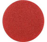 Rhodius 304553 Rhodius KGK V, 50 rondelles auto-agrippantes 125 mm, forme CK 00, grain 60, Topline, Made in Germany, pour acier