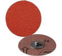 Rhodius 307020 Disque en fibres Grain=36 50 pc(s)