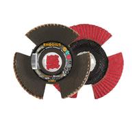 RHODIUS Disque à lamelle Rhodius VISION SPEED X-LOCK Quantité:10