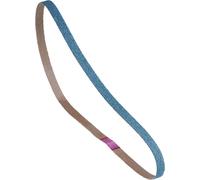 Rhodius ESB ZL 305560 Set de bandes abrasives Grain 80 (L x l) 533 mm x 9 mm 20 pc(s)