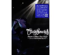 Rhyme & Blues Tour Final:Live [Import allemand]