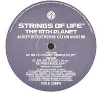 RHYTHIM IS RHYTHIM / STRINGS OF LIFE (1995 REMIX)