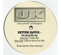 Rhythm Factor - Rhythm Factor - You Bring Me Joy - [2X12"]