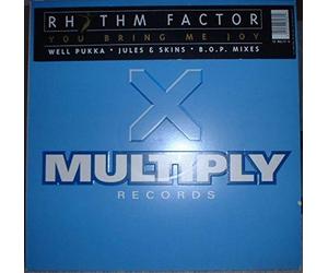Rhythm Factor - You Bring Me Joy [12 inch] [Import]