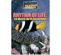 Rhythm Of Life - 24 Hours On A Coral Reef