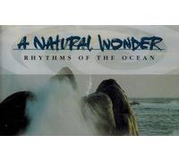 Rhythms of The Ocean [UK Import]