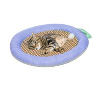 Riaisttd Cooling Mat for Dogs, Portable Pet Pad, Chew-Resistant Layer 24.02x16.73x1.97 inches, Soft Breathable Fabric, Lightweight Foldable Design, Great for Summer Travel, Kennels, Floor