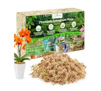 Riare 500g Sphaigne pour Plante Naturelle Compressé Sphaigne pour Orchidées Mélange pour Pot - pour la Culture de Plantes à la Maison,Fée Jardins (500g)