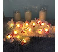 Riaxuebiy Artificielles Phalaenopsis Fleurs Guirlande 9.8FT 20 LED Orchidée Guirlandes Lumineuses Lumières Suspendues Blanches Chaudes pour Fête Mariage Maison Décoration (Phalaenopsis, USB)