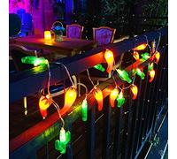 Riaxuebiy Guirlande Lumineuse Forme de Légumes Fruitiers 3M 20LED LED Lumières Féériques Décorative Intérieure et Extérieure USB Alimenté Fairy Lights Blanc Chaud (3M/20LED, Cactus+Poivre)