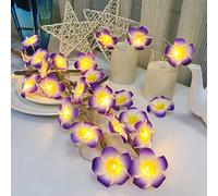 Riaxuebiy Guirlandes Artificielles de Plumeria,Mousse de Frangipanier LED Guirlandes Lumineuses à Piles Oeuf Fleur pour Chambre Mariage Maison Hawaïenne Plage Fête Cheveux Décor (3m/20led, Violet)