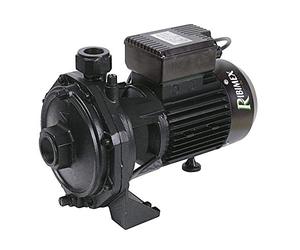 Ribiland PRRBK200 Pompe de Surface, broyeur, 2000 W, Noir, 25 x 28 x 40 cm