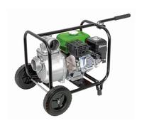 Ribimex PRMPC211/33 Motopompe 212 CC, Noir/Vert