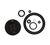 Ribimex - PRPJP - Kit de Joints pour nébuliseurs à Accumulation de Pression - Norme de Haute résistance aux Produits de Jardinage et phytosanitaires