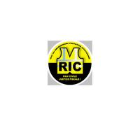 Ric Gilets Jaunes (10cm) - Sticker/Autocollant