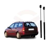 Ricambycar Paire de ressorts à gaz hayon arrière, Vérin Coffre, Verin Hydraulique de Coffre, compatible avec FORD FOCUS SW 2001 > 2004
