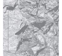 Ricardo Donoso Deterrence (Vinyl)