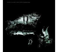 Ricardo Villalobos;Samuel Rohrer - Microgestures (2lp)