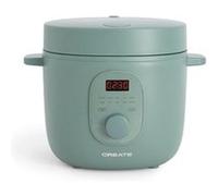 RICE COOKER STUDIO - Cuiseur à riz électrique multifonction avec panier vapeur - Sauge Vert 2L G