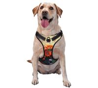 Rich Flowers Harnais de qualité supérieure pour chiens de petite, moyenne et grande taille - Durable, ne tire pas avec sangles réfléchissantes et boucles à dégagement rapide, taille S