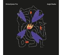 Richard Jones Trio - Angle Shades [Import]