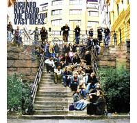 Richard Nygaard - Book of Vast Ideas