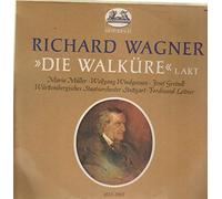 Richard Wagner - Die Walküre - 1. Akt [Vinyl LP]