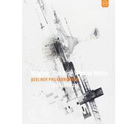 Richard Wagner-The Ring Without Words [Import]