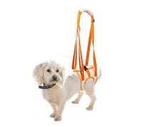 RICHDMI Harnais de Transport pour Chien, Harnais pour Pattes Arrière, Aide à La Marche de Levage Gilet de Traction pour Les Chiens Agés et Blessés, pour Le Dos et La Récupération des Chiens