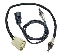 Richeyty Capteur D'OxygèNe O2 02 et ArrièRe 2 PièCes pour Dyna FXD Softail V-Rod VRSC 2012-2017 32700005 32700006