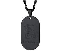 Richsteel Collier Signe Astrologique Poissons Pendentif Plaque Dog Tag Noir Homme Bijoux Constellation