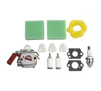 RichVibe Kit carburateur pour débroussailleuse Homelite B25C BC2500R, D725CD, D825SB F2020 F3040 F3050 - Comprend des filtres à air, des coupelles à huile, des joints, des filtres à carburant