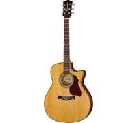 Richwood Richwood G-65CE VA Master Series