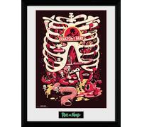 Rick And Morty - Anatomy Park Impression En Cadre 30x40cm GB Eye