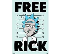 Rick and Morty Poster imprimé Free Rick - Dimensions : 61 x 91,5 cm + cadre amovible Shinsuke® Maxi MDF noir, vitre en acrylique