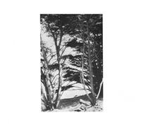 Rick Deitrick Gentle Wilderness (Vinyl) 12" Album