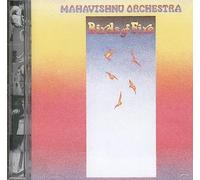 Rick Laird - Birds of Fire