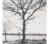 Rico Friebe - Maintenant